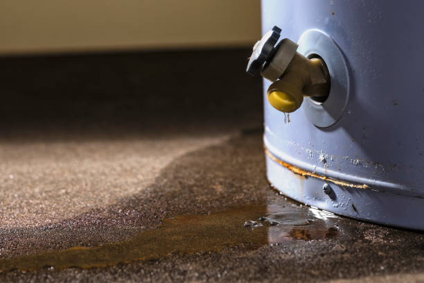 Best Flood restoration services  in Flagstaff, AZ