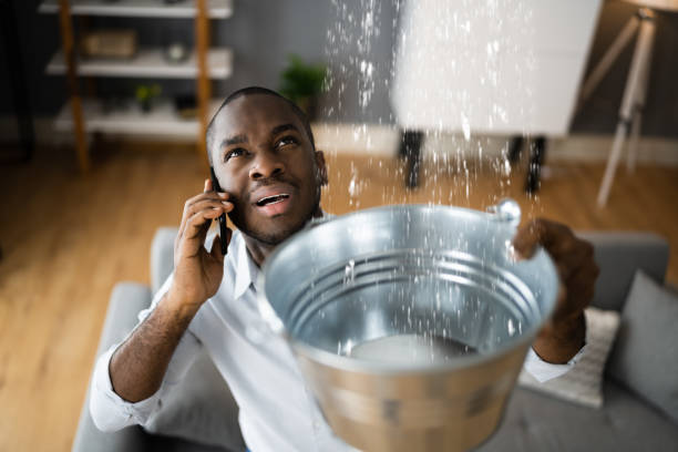 Best Professional water damage repair  in Flagstaff, AZ