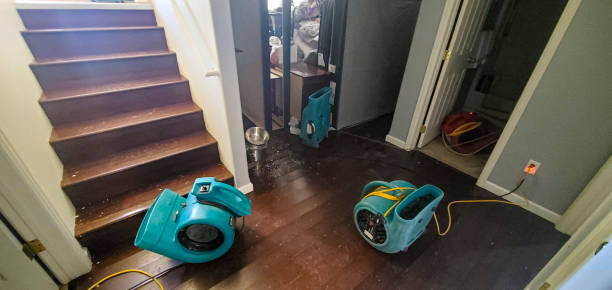 Best Flooded house restoration  in Flagstaff, AZ