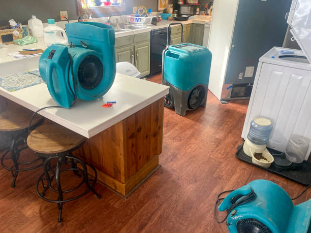 Best Water damage restoration near me  in Flagstaff, AZ