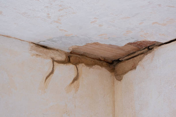 Best Local water damage restoration  in Flagstaff, AZ
