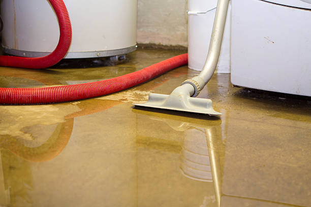 Best Ceiling water damage repair  in Flagstaff, AZ