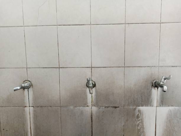 Best Mold removal after water damage  in Flagstaff, AZ