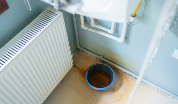 Best Flood damage cleanup  in Flagstaff, AZ