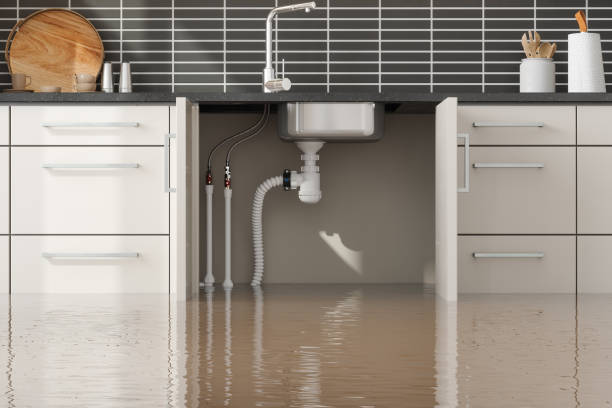 Sewage cleanup and water damage restoration in Flagstaff, AZ