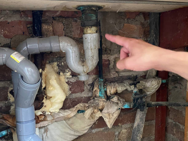 Best 24-hour water damage restoration  in Flagstaff, AZ