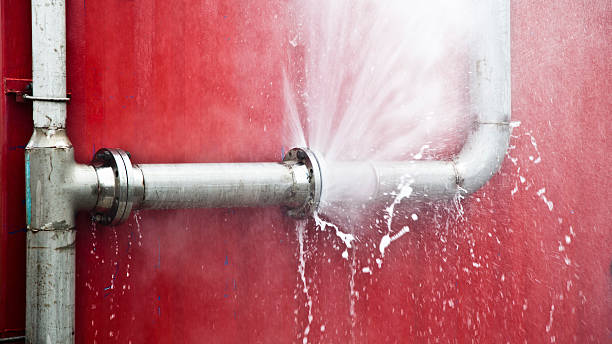 Best Carpet water damage restoration  in Flagstaff, AZ